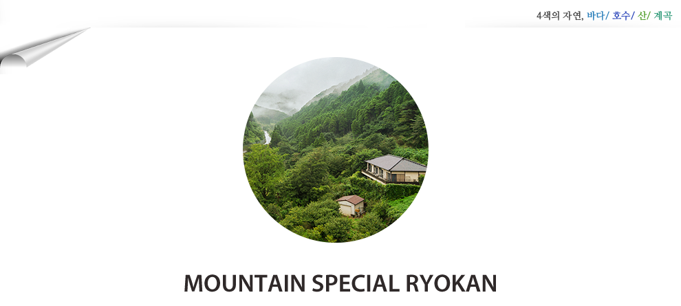 Moutain Special Ryokan