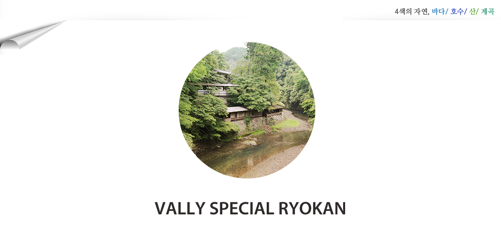 Moutain Special Ryokan