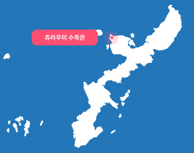 츄라우미 수족관